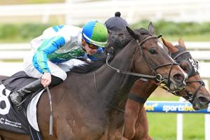 HURRY GIVES THEM CURRY IN ANSETT CLASSIC